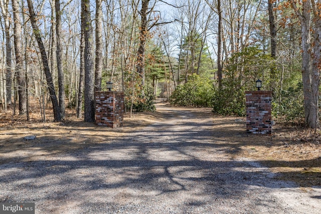 view of road featuring gravel driveway