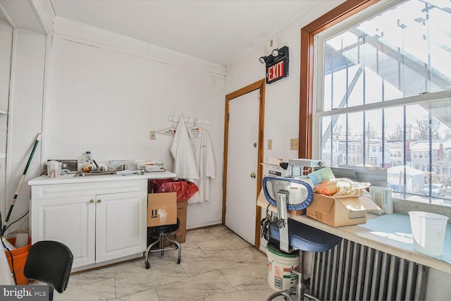 laundry room with a wealth of natural light and ornamental molding