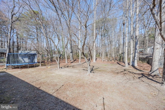 view of yard featuring a trampoline