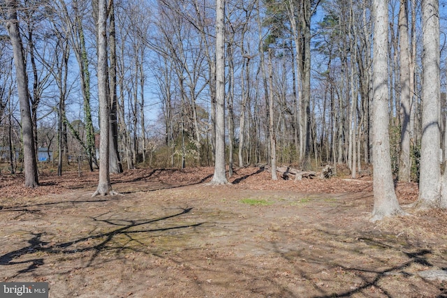 view of yard with a view of trees