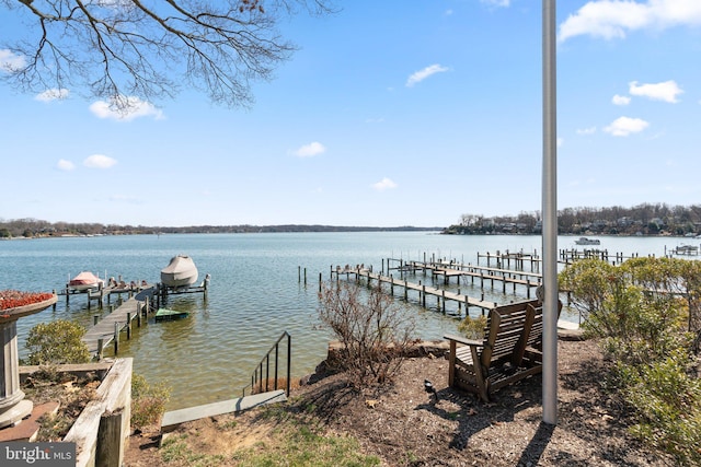 dock area featuring a water view