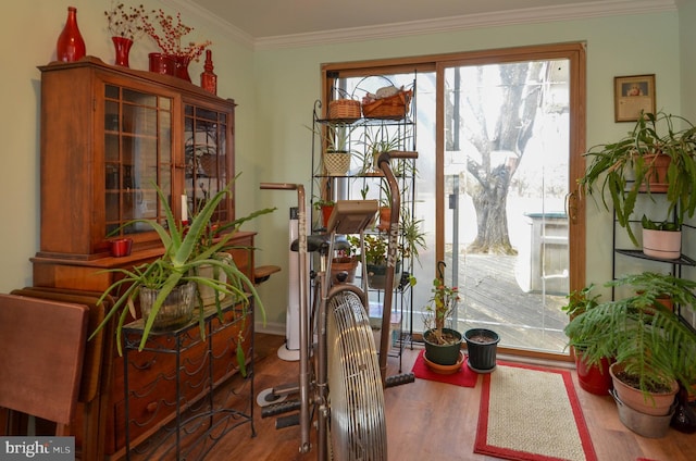 doorway to outside with wood finished floors and ornamental molding