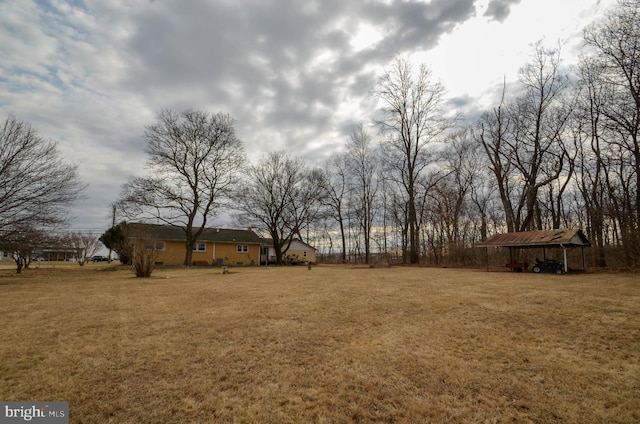 view of yard