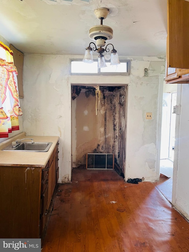 kitchen featuring hardwood / wood-style flooring, light countertops, and a sink