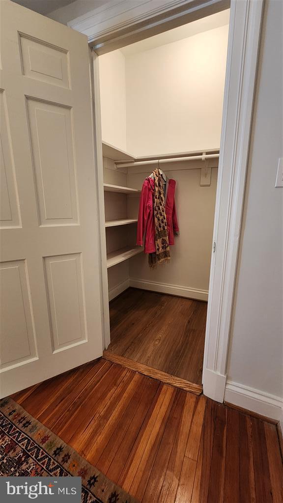 view of closet