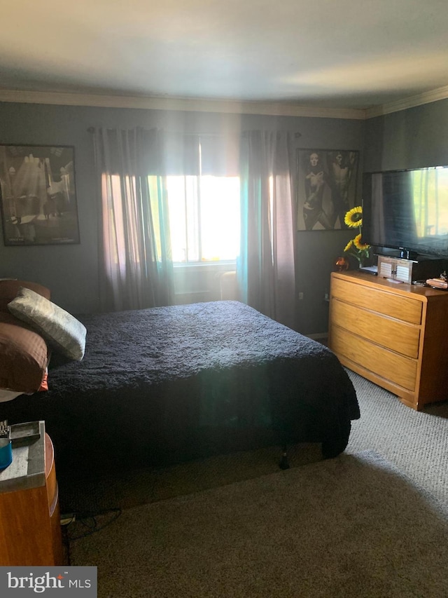 bedroom with carpet flooring, multiple windows, and crown molding