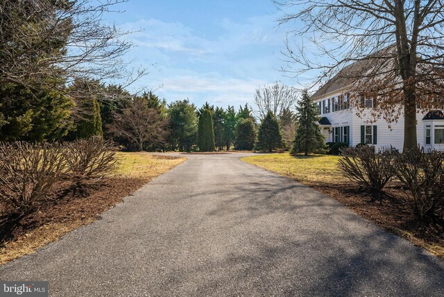 view of road featuring aphalt driveway