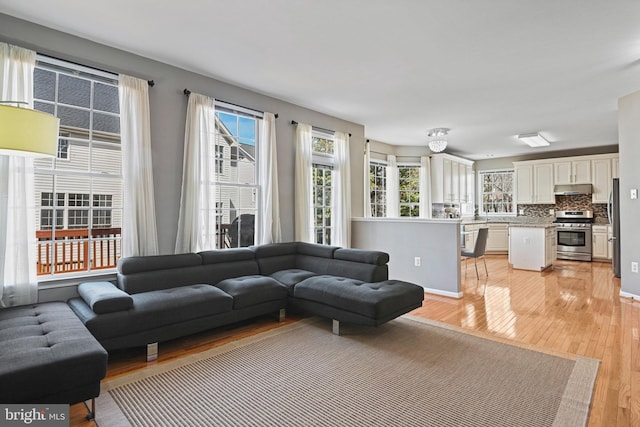 living room featuring a healthy amount of sunlight and light wood-type flooring