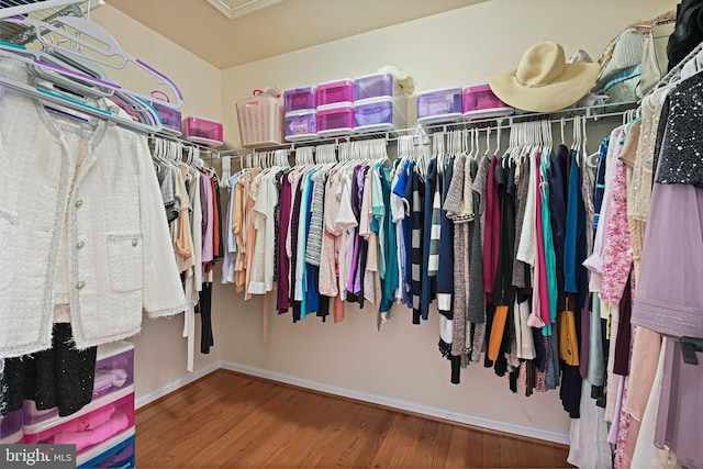 walk in closet featuring wood finished floors