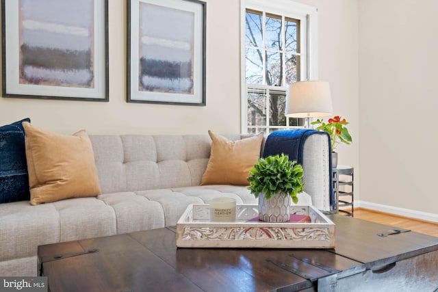 living area featuring baseboards and wood finished floors