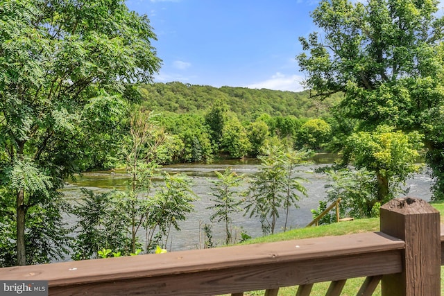 water view featuring a view of trees