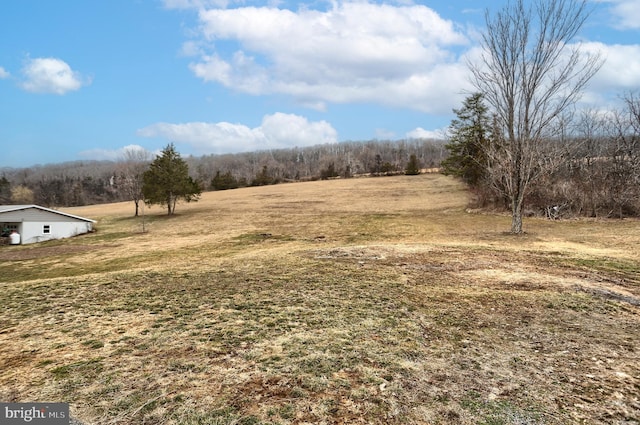 view of yard with a rural view