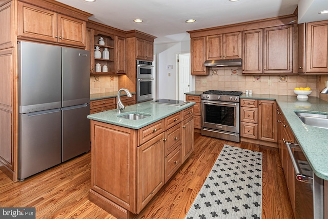 kitchen featuring light wood-type flooring, a center island with sink, under cabinet range hood, a sink, and appliances with stainless steel finishes