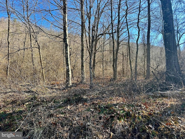 Listing photo 2 for 30AC Dumpling Run Rd, Moorefield WV 26836