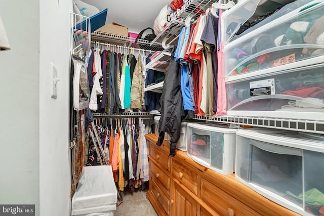 7721 Sullivan Cir, Alexandria, VA 22315 - spacious closet featuring carpet flooring