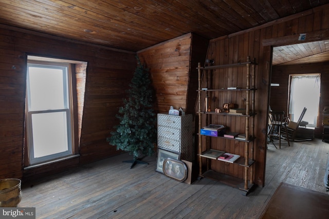 interior space featuring wood walls, multiple windows, wood ceiling, and wood-type flooring