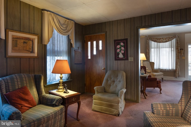 living area with carpet flooring and wood walls