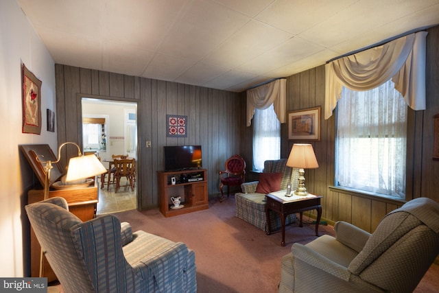 living room featuring carpet floors and wooden walls