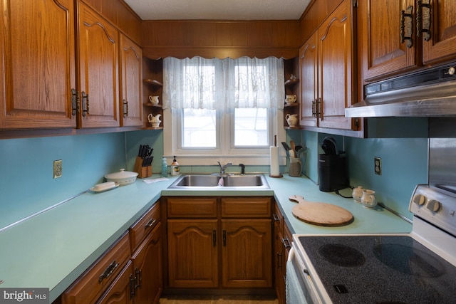 kitchen with a sink, open shelves, range with electric stovetop, and light countertops