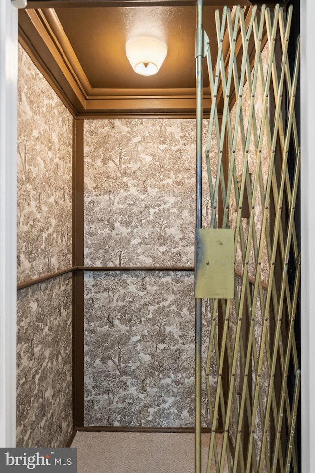 interior space featuring crown molding and carpet floors