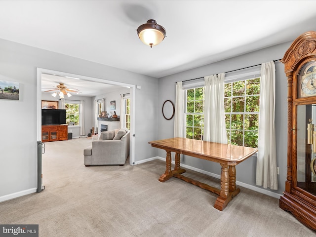 2446 Saint Lukes Rd, Salisbury, MD 21804 - dining area with light carpet, baseboards, and healthy amount of natural light