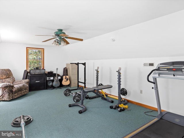 2446 Saint Lukes Rd, Salisbury, MD 21804 - workout area featuring a ceiling fan, carpet floors, and vaulted ceiling