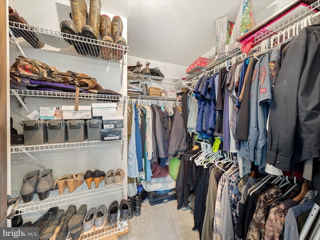 2446 Saint Lukes Rd, Salisbury, MD 21804 - spacious closet featuring carpet flooring