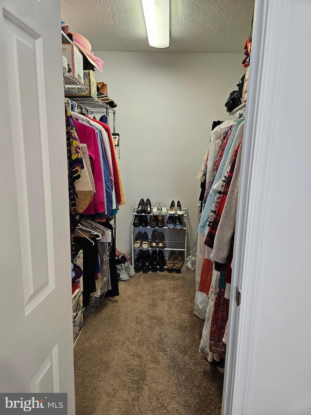 walk in closet with carpet floors