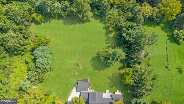 bird's eye view with a view of trees