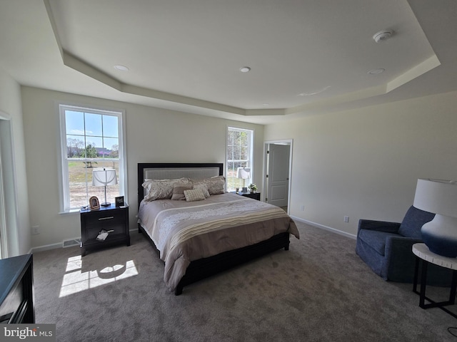 32912 Tern Cv, Long Neck, DE 19966 - bedroom featuring carpet flooring, multiple windows, baseboards, and a raised ceiling