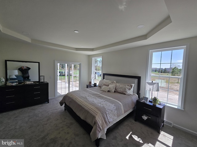 32912 Tern Cv, Long Neck, DE 19966 - bedroom with a tray ceiling, access to outside, carpet floors, and multiple windows