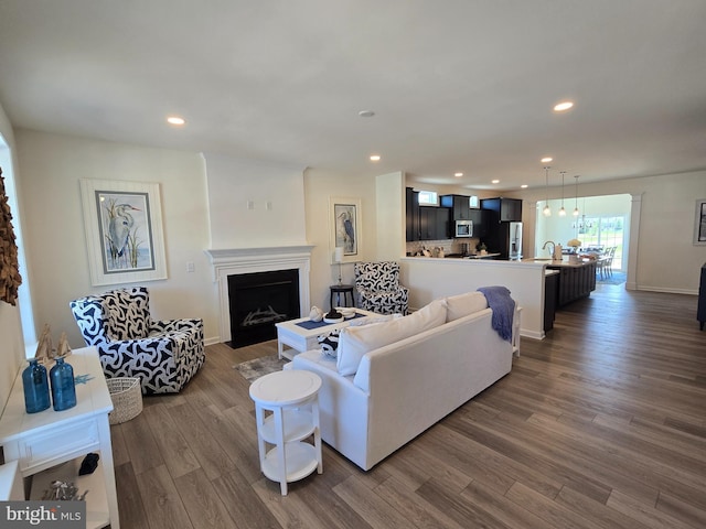 32912 Tern Cv, Long Neck, DE 19966 - living area with dark wood-type flooring, a fireplace with flush hearth, baseboards, and recessed lighting