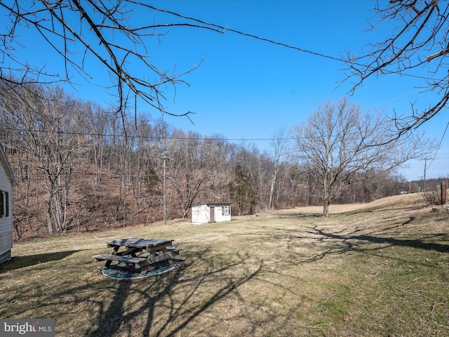 view of yard with a storage unit, a view of trees, and an outbuilding