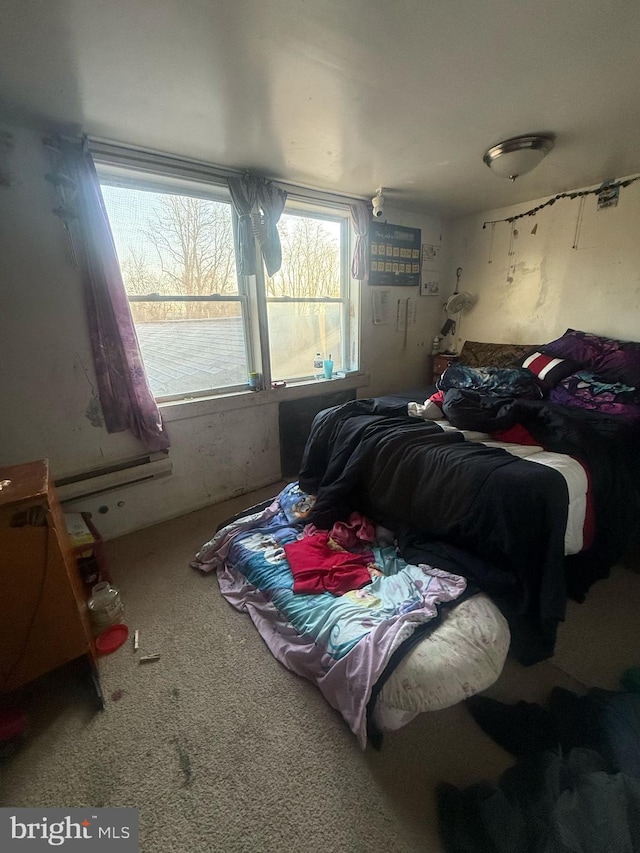 bedroom with carpet flooring