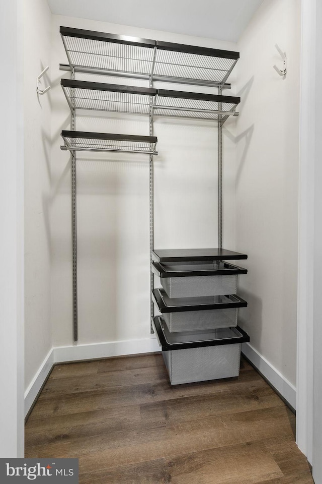 spacious closet featuring wood finished floors