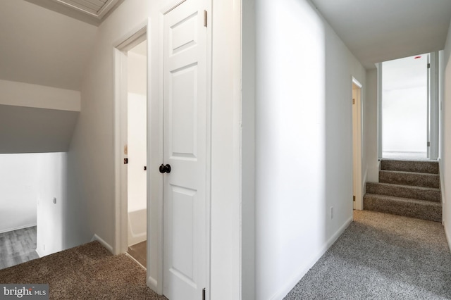 hallway featuring carpet flooring