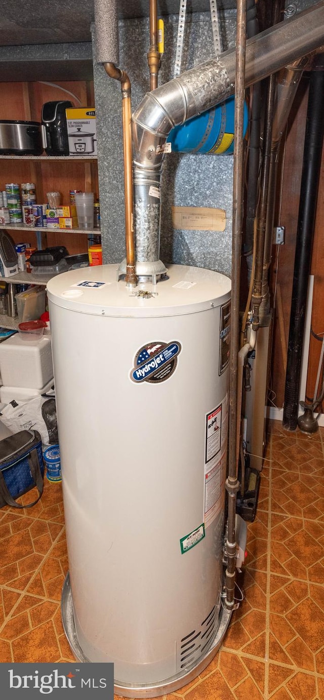 utility room with gas water heater