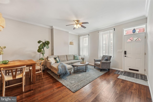 living room with a wealth of natural light, dark wood-type flooring, ceiling fan, and ornamental molding