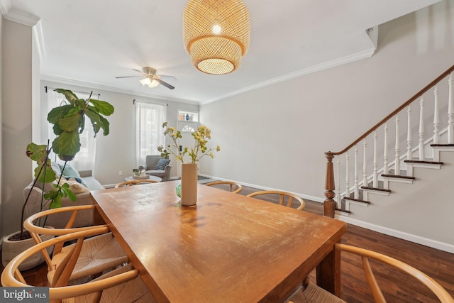 dining room featuring wood finished floors, crown molding, baseboards, ceiling fan, and stairs