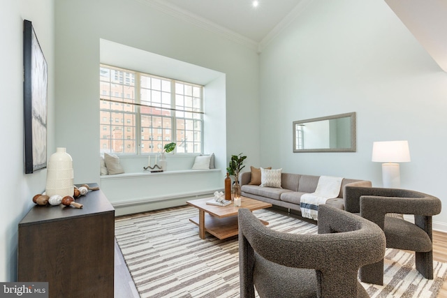 living area featuring a baseboard heating unit, wood finished floors, baseboards, and ornamental molding