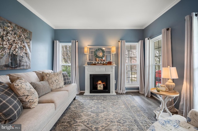 living area featuring baseboards, a warm lit fireplace, wood finished floors, and crown molding