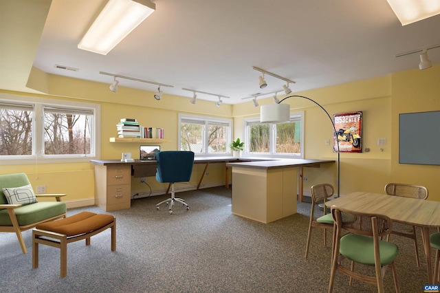 carpeted office space with visible vents and rail lighting