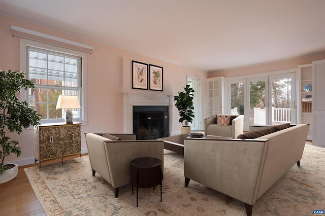 living area with a fireplace and light wood finished floors