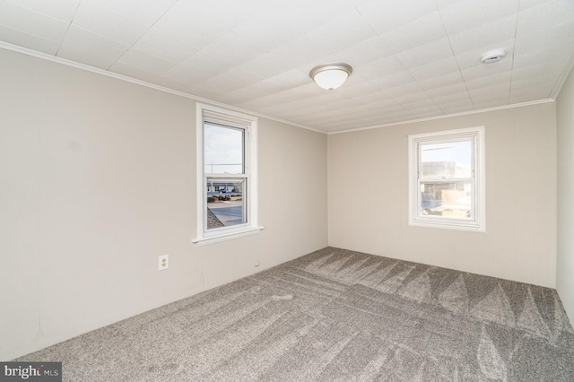 spare room featuring crown molding and carpet flooring