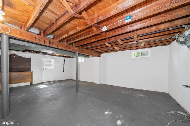 basement with concrete block wall