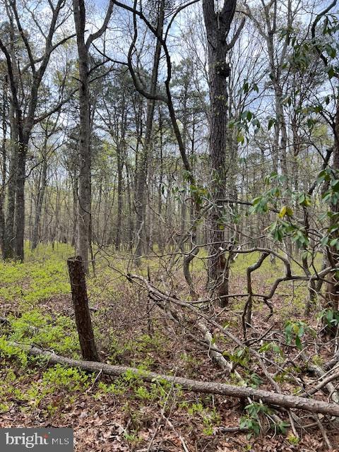 0 Ward Ave, Millville NJ, 08332 land for sale