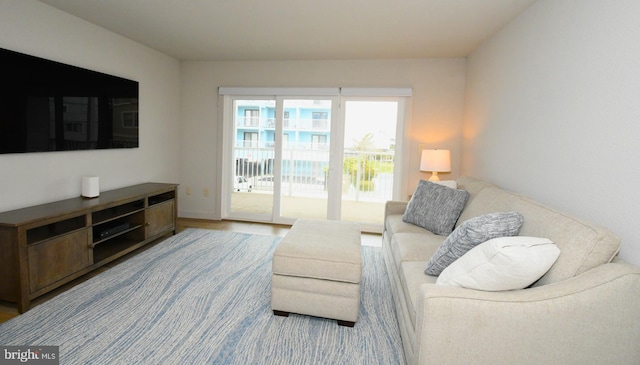 living area with wood finished floors