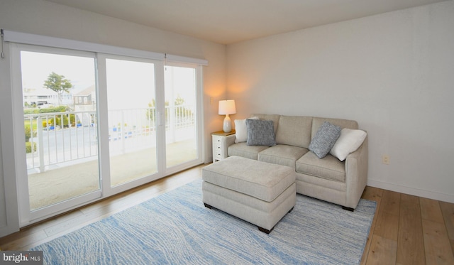 living room with baseboards and wood-type flooring