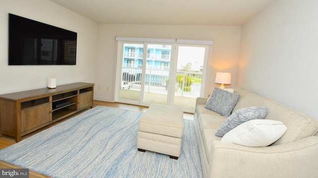 living area featuring wood finished floors