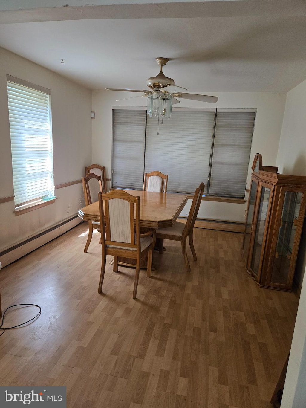 dining space with baseboard heating, light wood-style flooring, and a ceiling fan